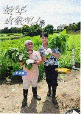 求购无酸收藏盒